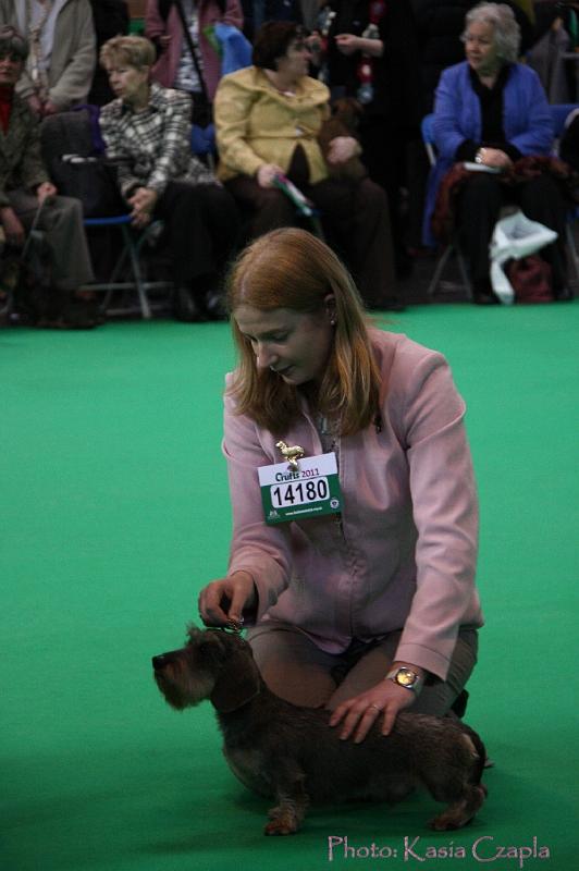 Crufts2011_2 704.jpg